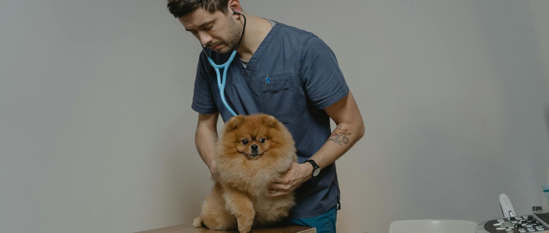 Veterinary VA Virtual Assistant