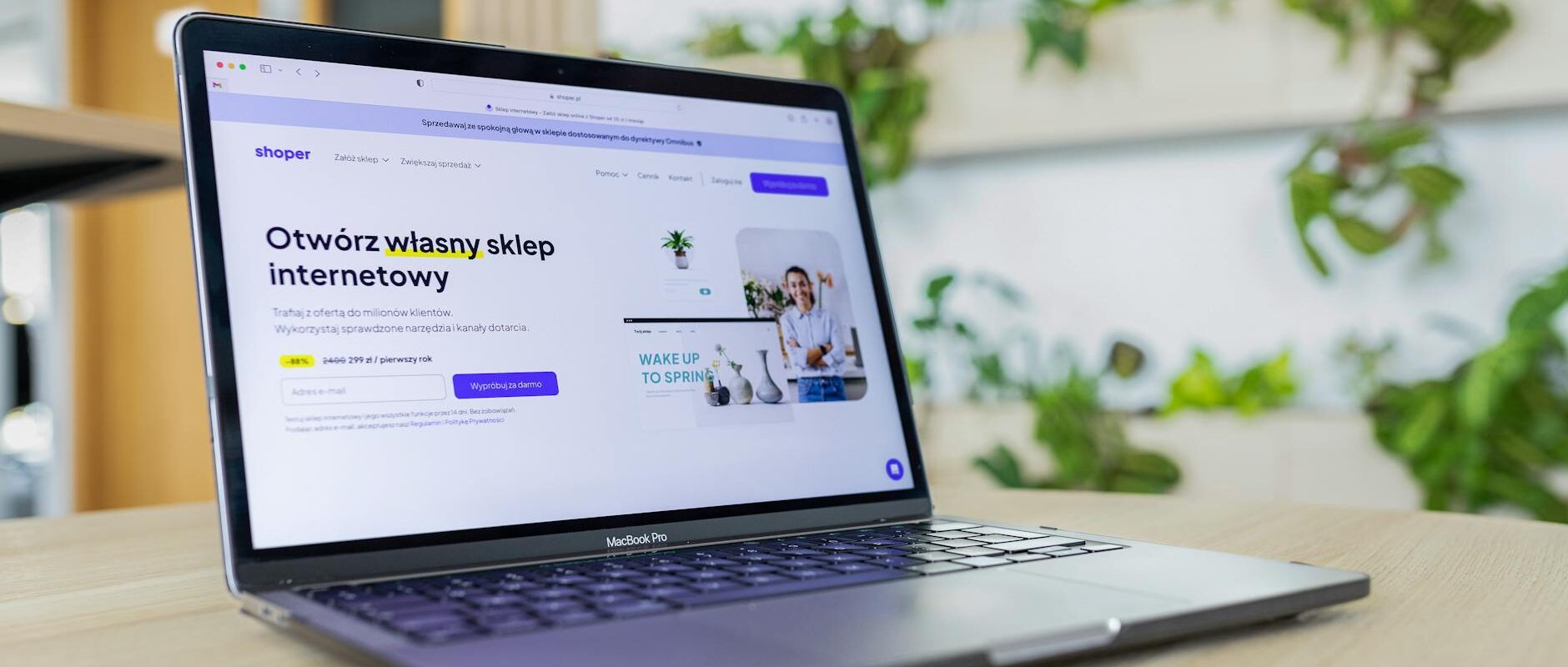 eBay VA Virtual Assistant