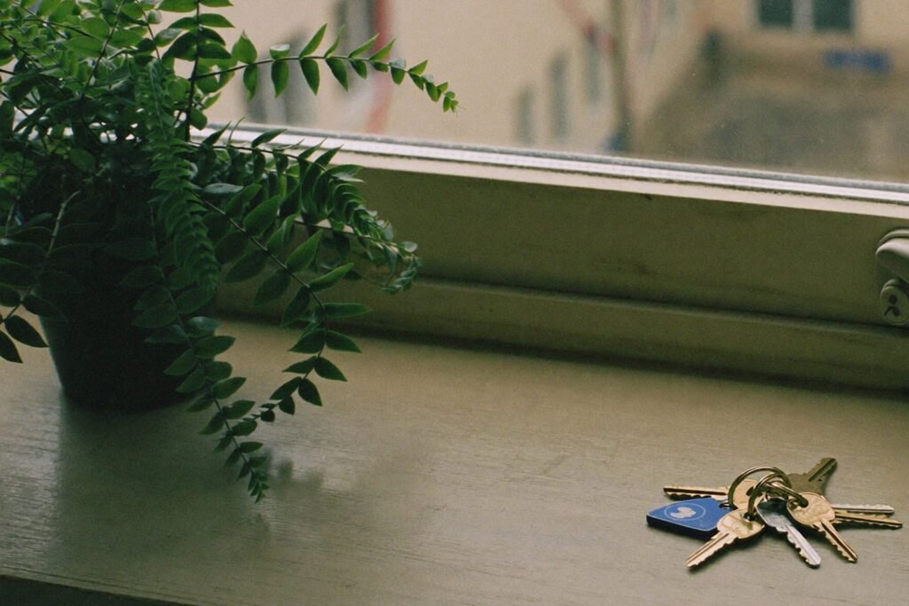 Apartment keys on a windowsill beside a fern, representing property management virtual assistant companies