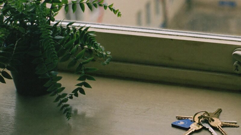 Apartment keys on a windowsill beside a fern, representing property management virtual assistant companies